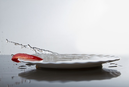 water dropsの写真素材