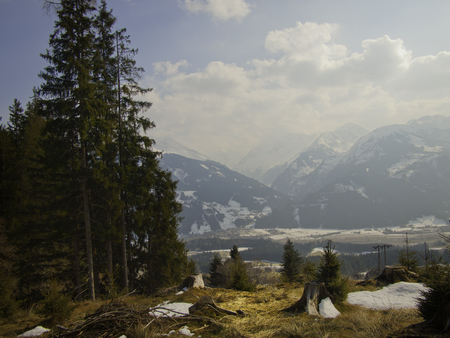 Mountains behind a forestの写真素材