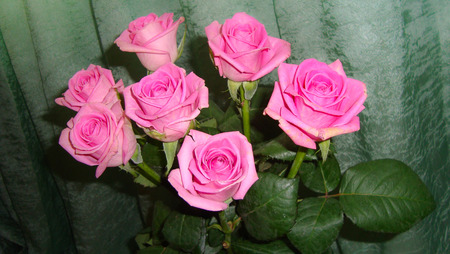 valentines bouquet of pink rosesの写真素材