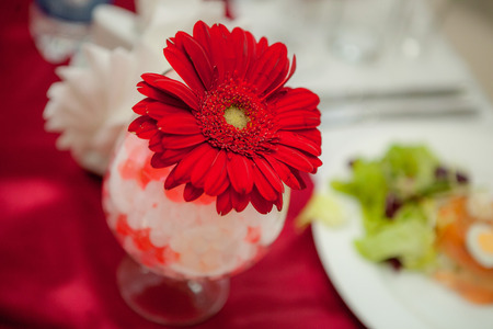 red flower in glass of white and red decorative water balls on dinner tableの写真素材