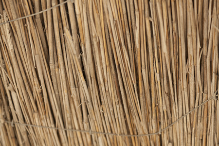 The Texture background of beach umbrella
