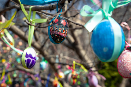 Christian holiday Easter, trees decorated with painted eggs is an old tradition.