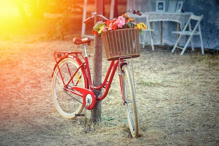 Retro red bicycle in a garden with a basket of flowers in the rays of the sun.の写真素材