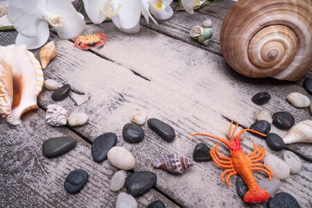 Sea shells, safe housing for marine life. Card for travel with various objects for recreation,...