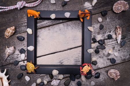 Sea shells, safe housing for marine life. Card for travel with various objects for recreation, travel by the ocean and pool.の写真素材