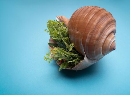 Seascape seashells sand, holiday postcard. Sea animals. Place for text.