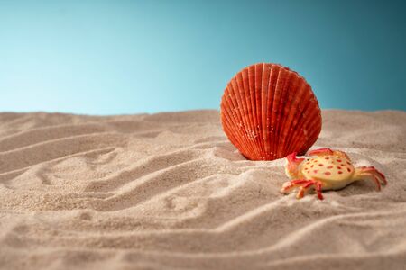 Seascape seashells sand, holiday postcard. Sea animals. Place for text.の写真素材