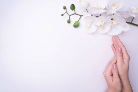 Fashion art portrait woman flowers in her hand with a bright contrasting makeup.の写真素材