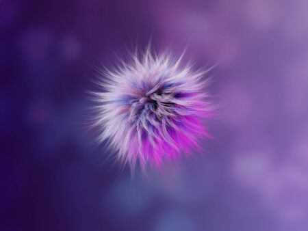 Bright highly detailed fluff of multi-colored fur bumbonchikの写真素材