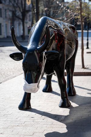 A bull or a cow black protected from the virus in a mask, clean meat for your table, eioration of natural products during the pondemics.の写真素材