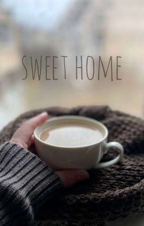 Red paper heart in female hands against the background of a window and a houseplant in the backlight, a good postcard for the holiday, Valentines day.の写真素材