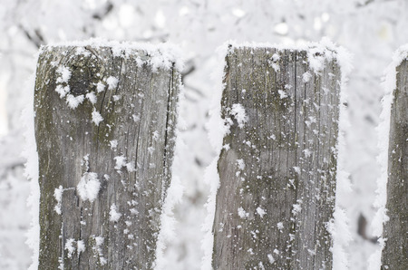The part of frozen wooden fence