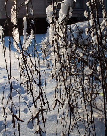 winter fairy taleの写真素材