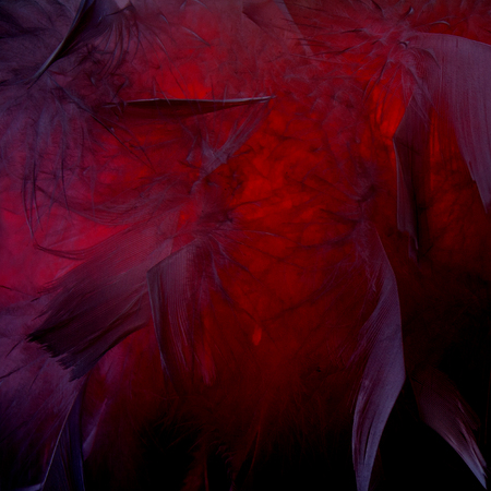 Red and purple abstract backgroundの写真素材
