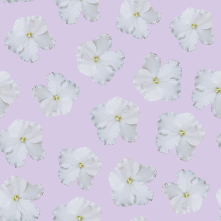 Seamless white floral pattern on light purple backgroundの写真素材