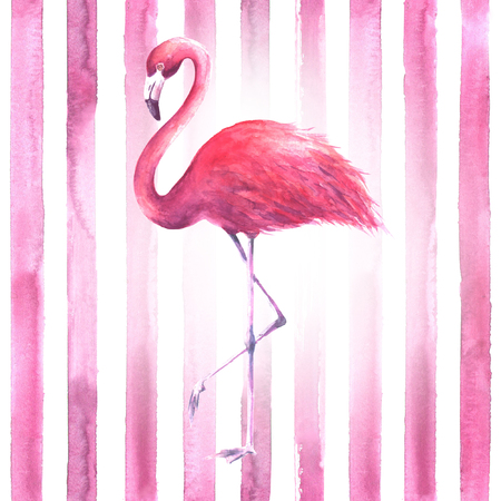 Tropical exotic pink flamingo on vertical striped pink and white background. Watercolor hand drawn illustration.の写真素材