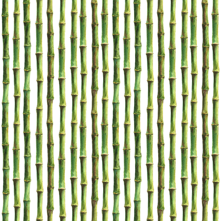 Green bamboo stems seamless pattern on white background. Watercolor hand drawn botanical illustration texture. Print for textile, wallpaper, wrappingの写真素材