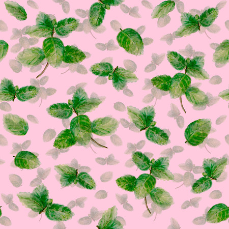 Mint herb spice leaves seamless pattern on light pink background. Watercolor hand drawn botanical illustration. Watercolour kitchen herbs collection. Print for textile, wallpaper, wrappingの写真素材