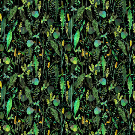 Seamless pattern with meadow wild flowers, herbs, grasses. Watercolor hand drawn botanical illustration on black background. Watercolor floral herbal ornament. Print for textile, wallpaper, wrapping.の写真素材