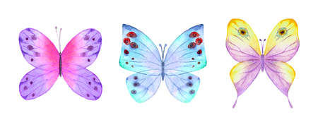 Watercolor botanical summer set of multicolor colorful butterflies. Watercolor hand drawn botany butterfly illustration .. Print for fabric, wallpaper, wrapping paper design.の写真素材
