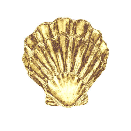 Seashell illustration. Hand drawn yellow golden color sea shell isolated on white background. Marine underwater element design. Print for greeting card, wallpaper, fabric, banner.の写真素材