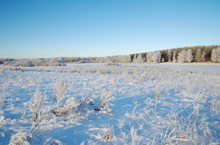 Winter landscape with hoarfrostの写真素材