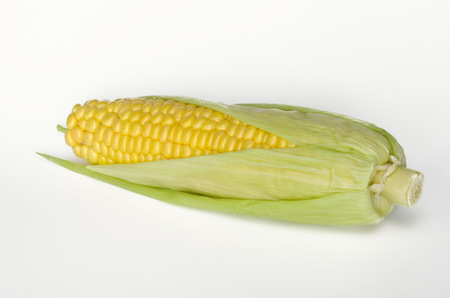 Fresh raw corn cob isolated on white backgroundの写真素材