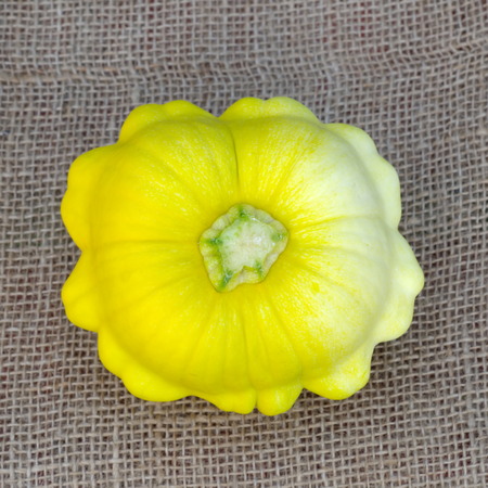 Yellow squash on burlapの写真素材
