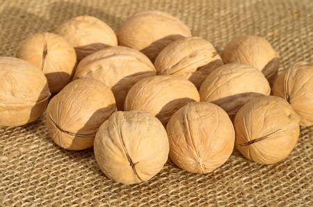Walnuts in the shells on the burlap