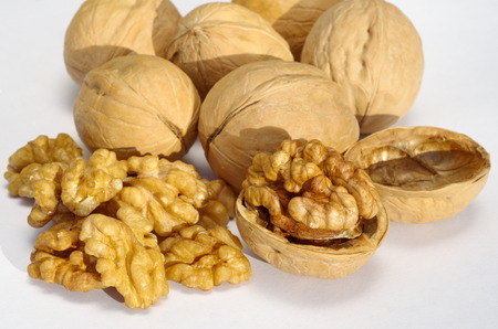 Walnuts on white backgroundの写真素材