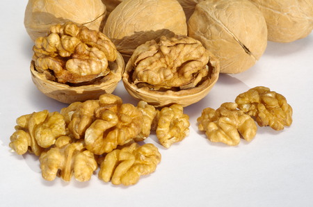 Walnuts on white background close upの写真素材