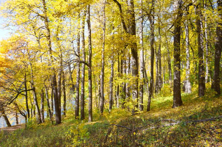Autumn in Tsaritsyno Park in Moscow, Russiaの写真素材