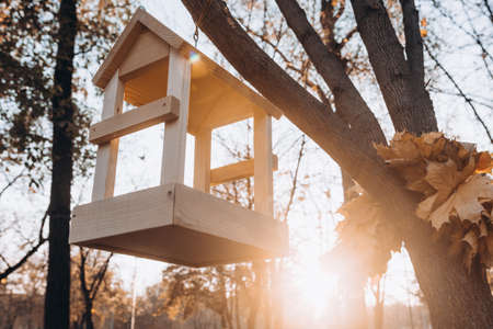 beautiful wooden birdhouse on the tree. autumn.