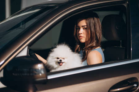 beautiful young girl driving a luxury car with a dog.