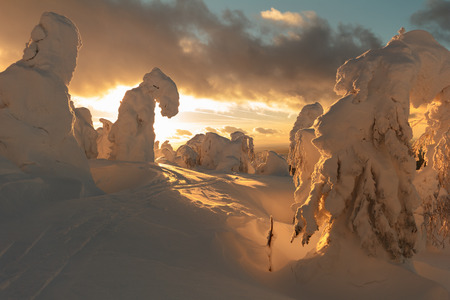 Winter sunset on a snowy mountain topの写真素材