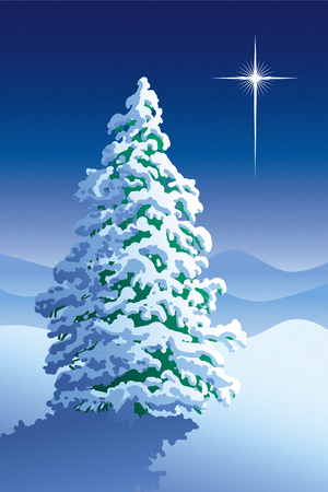 The first star. The first star at silent night.のイラスト素材