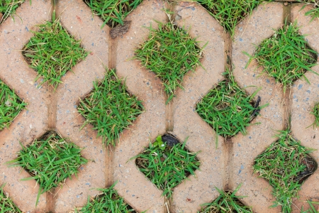 Brick floors with grass backgroundの写真素材