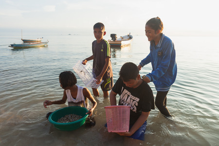 SURAT THANI, THAILAND - MAY 31: Children looking for wedge shells on the beach on May 31,2015 in Koh Phangan, Surat Thani, Thailand.のeditorial素材
