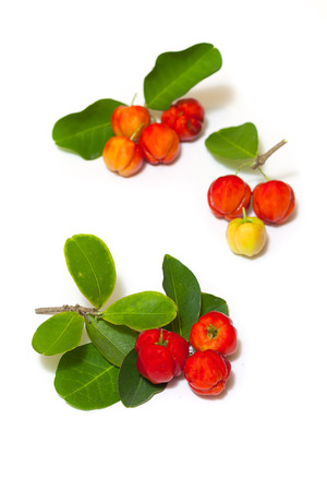 Cherry fruit on white backgroundの写真素材