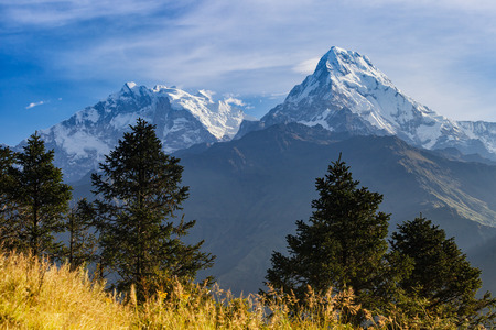 The alpine landscape from poon hill, Nepalの写真素材