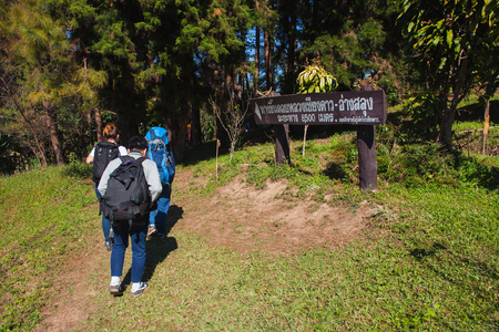 CHIANG MAI, THAILAND - DEC 6, 2015 : Traveller start trekking to summit of Doi Luang Chiang Dao Mountain on December 6, 2015 in Chiang mai, Thailand.のeditorial素材
