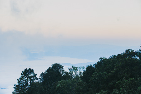 Tropical rainforest with mountain and mist in the morning at Doi Inthanon National park, Thailand.