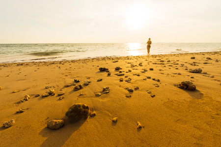 Tropical sunset on the beach with stone and sand.の写真素材