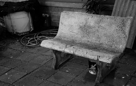 The single saddle rock in black and white sceneの写真素材