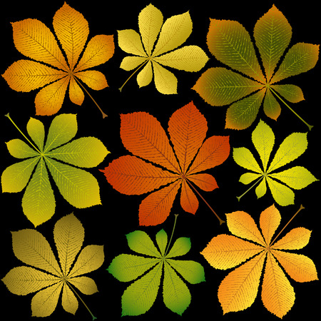 autumn chestnut leaves on black backgroundのイラスト素材