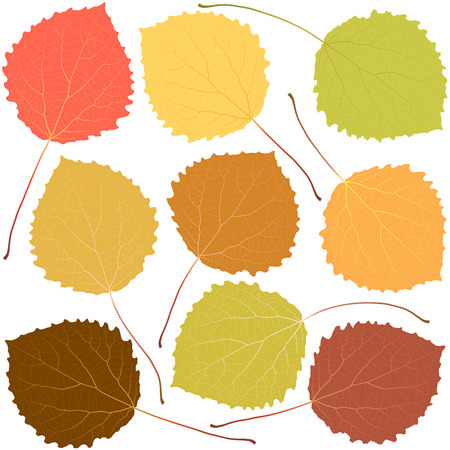 autumn aspen leavesのイラスト素材