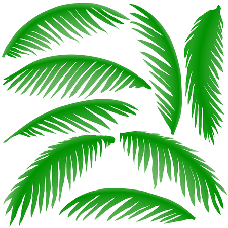 green branches of palm treesのイラスト素材