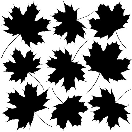 silhouettes of maple leavesのイラスト素材
