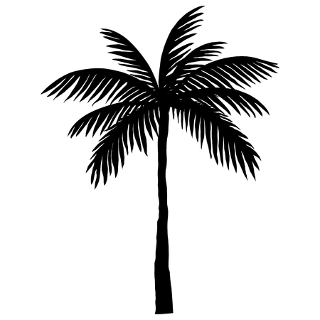 silhouette of palm treesのイラスト素材