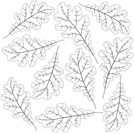 contoured oak leavesのイラスト素材